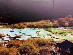 -黄龙山原始森林景区