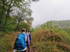 -阳台山自然风景区