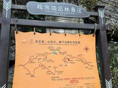 -梭布垭石林景区