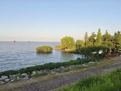 -长兴太湖图影湿地文化园