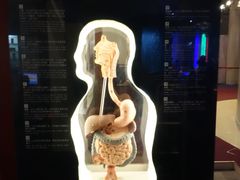 -香港科学馆