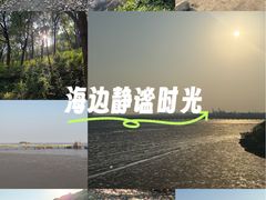 -平湖九龙山旅游度假区