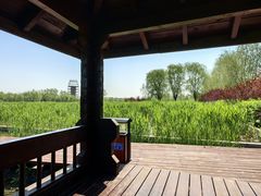 -永定河休闲森林公园