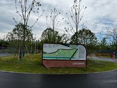 -上海滨江森林公园