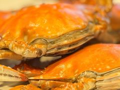 -赶海部落海鲜城(海阳路店)