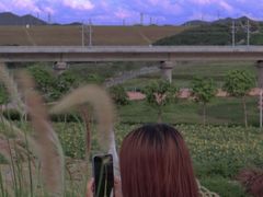 -光明小镇欢乐田园