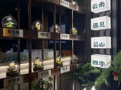 -芸山季·云南山珍菌火锅(人民广场来福士店)