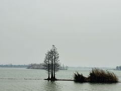 -东湖落雁景区