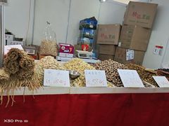 -深圳市宝安体育中心体育场