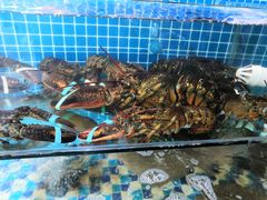-87号烧烤海鲜·大排档(金沙滩店)