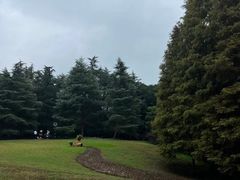 -扬州市茱萸湾风景区