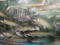 -榕记(番禺总店)