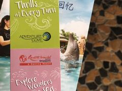 -新加坡水上探险乐园