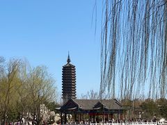 -西海子公园