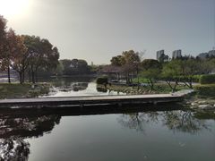 公园内-蠡湖大桥公园