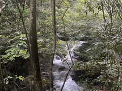 -神农架香溪源景区