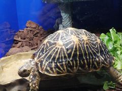 -上海海洋水族馆