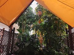 景观位-早安曼谷泰国餐厅
