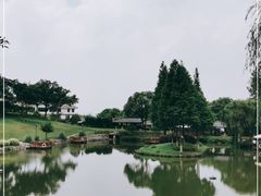 -龙吟九品(青龙山庄店)