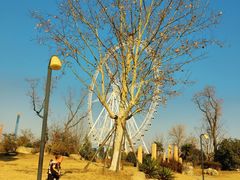 -祥源·阜阳生态乐园