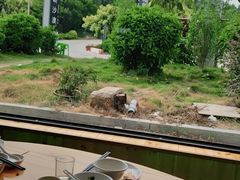 -坛南湾阿强农家乐.海鲜大排档老字号(福州地标美食店)