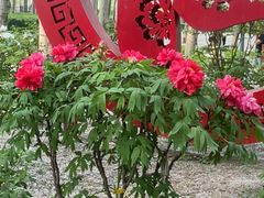 -仁和公园(顺义区)