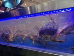 -盒马鲜生(莱蒙都会店)