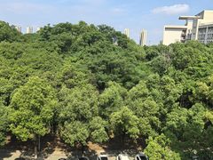 -武汉交通职业学院
