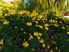 -上海交通大学(闵行校区)