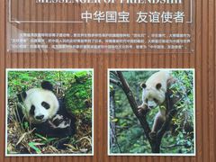 -西安大唐西市博物馆