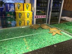 -洪湘记川湘·甲鱼馆(四海凯悦美食广场店)
