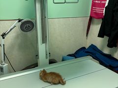 -天津前进宠物医院(前进道店)