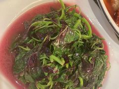 -新聚丰菜馆(太监弄店)