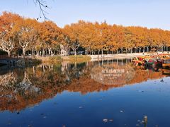 -泰州凤城河风景区-泰山公园