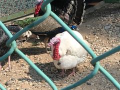 -南京金牛湖风景区