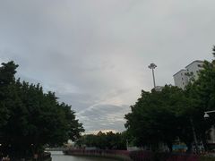 -玫瑰园餐厅