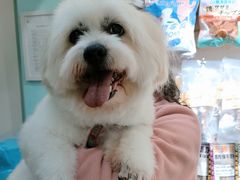 -宠伴小精灵宠物店(鼓楼店)