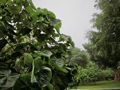 -南宁南湖公园