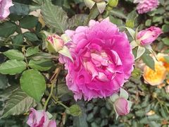 -人民公园(罗湖区)