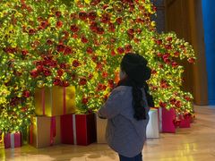 -养云安缦吧THE BAR