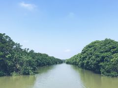 -大湾区中央湿地公园