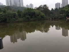 -龙头寺公园