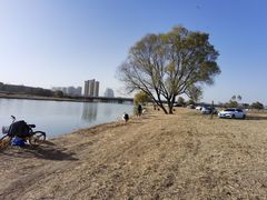 -西安浐灞国家湿地公园