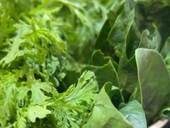 -潮汕三宝鲜牛肉火锅