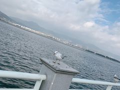 -海埂大坝