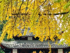 -成都市文殊院