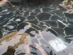 -明月山天沐温泉度假村