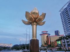 -金莲花广场