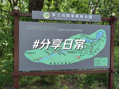 -茅兰沟国家森林公园