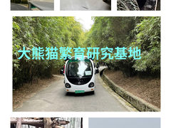 -成都大熊猫繁育研究基地